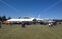 bat_ailegunu (4).jpeg