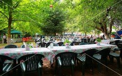 besler_piknik_organizasyonu (6).jpeg