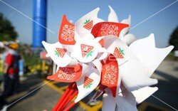 cilek_ailegunu (1).jpeg