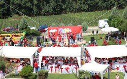 cilek_ailegunu (13).jpeg