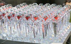 cilek_ailegunu (9).jpeg