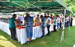 loreal_ailegunu (14).jpeg