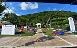 loreal_ailegunu (2).jpeg