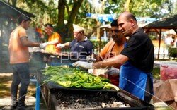 marport_ailegunu (30).jpeg