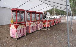 ozen_piknik_organizasyonu (2).jpeg