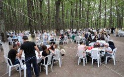 ozen_piknik_organizasyonu (8).jpeg