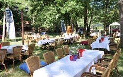 groupm_piknik_organizasyonu (1).jpeg