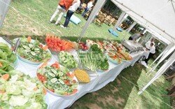 groupm_piknik_organizasyonu (4).jpeg