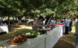 pns_piknik_organizasyonu (13).jpeg