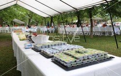 pns_piknik_organizasyonu (15).jpeg