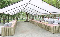 pns_piknik_organizasyonu (16).jpeg