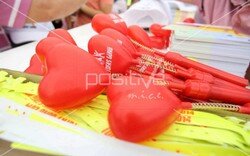 tofas_ailegunu (5).jpeg