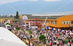 tofas_ailegunu (52).jpeg