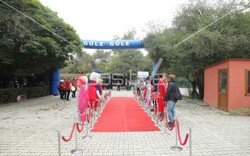 toscelik_piknik_organizasyonu (1).jpeg