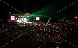 toyota_ailegunu (122).jpeg