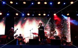 toyota_ailegunu (135).jpeg