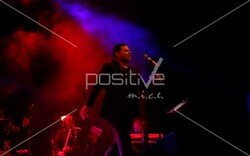 toyota_ailegunu (136).jpeg