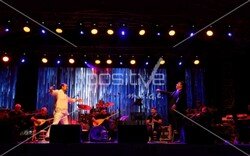 toyota_ailegunu (144).jpeg