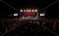 toyota_ailegunu (155).jpeg