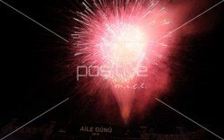 toyota_ailegunu (176).jpeg