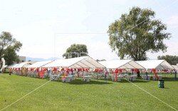 toyota_ailegunu (35).jpeg